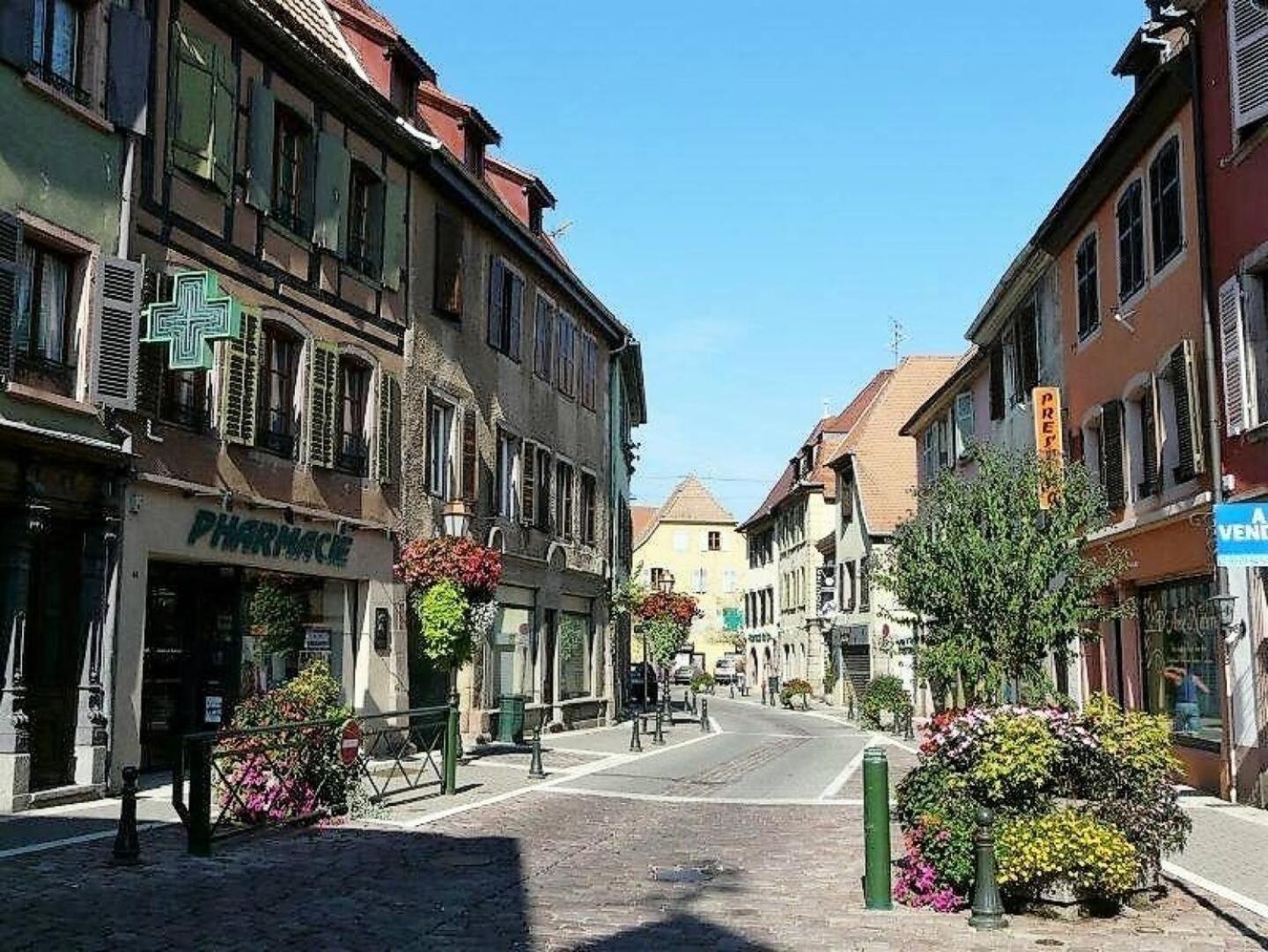 Gite La Clematite Soultz-Haut-Rhin Dış mekan fotoğraf